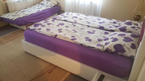 AMY APARTMAN, Tuzla